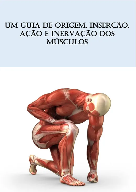 Capa do e-book Origem, Inserção, Ação e Inervação dos Músculos