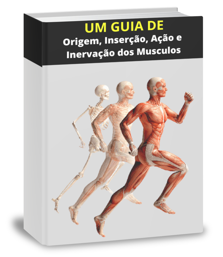 Curso Online e Gratuito, 👉 Apenas para quem é estudante ou já é da área  da saúde! Estamos lançando o curso Músculos: Origem, Inserção e Ação! De  forma GRATUITA! Pegamos um