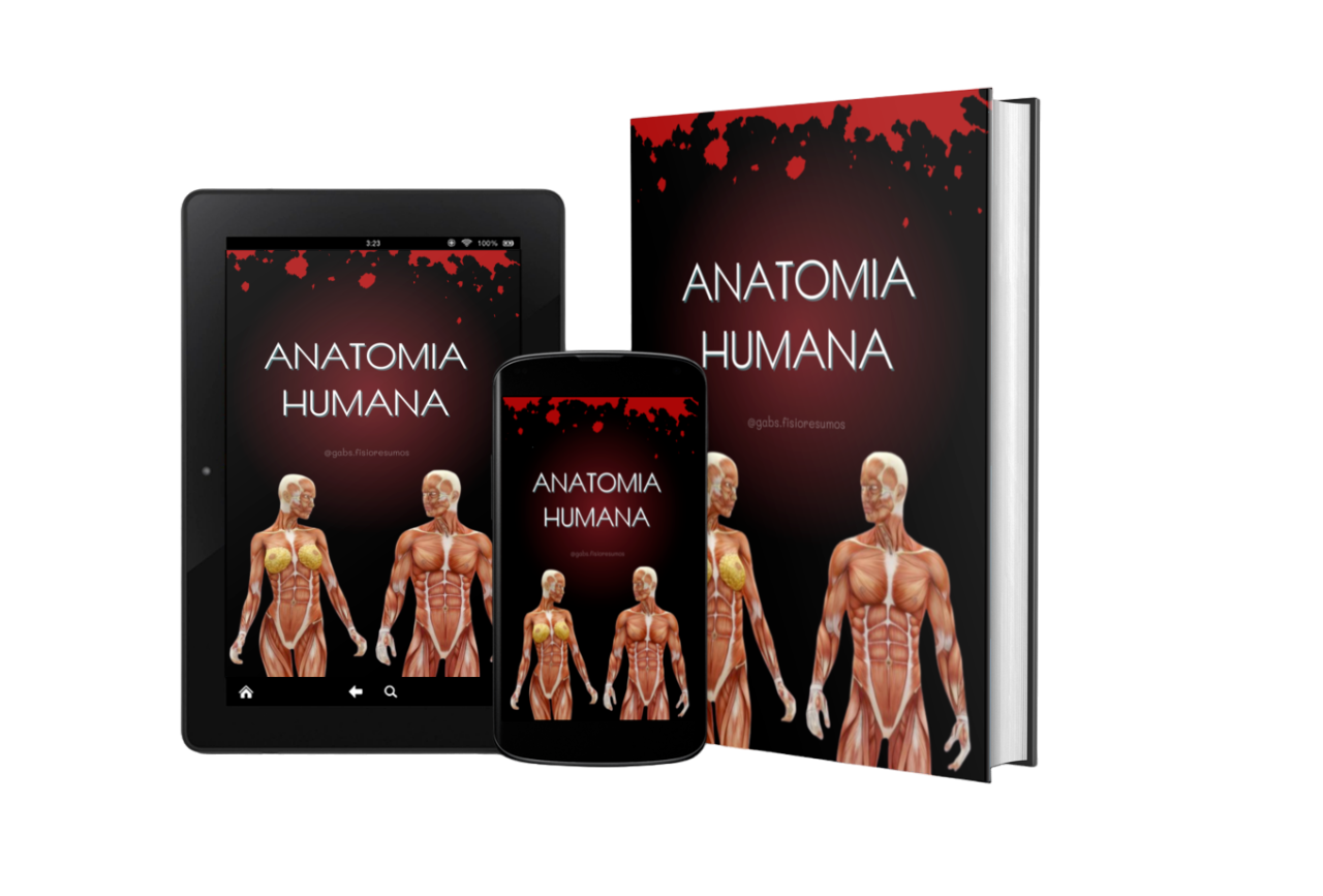 e-book Anatomia Humana