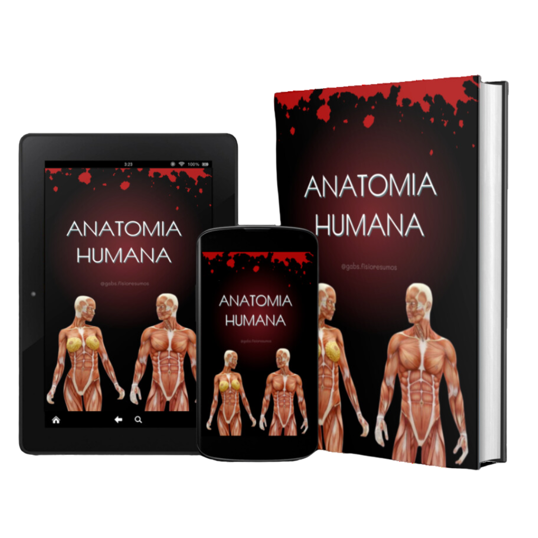 Anatomia Humana